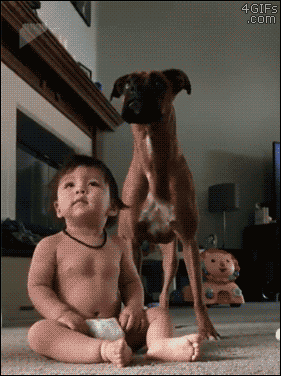 Baby and boxer dog love bubbles