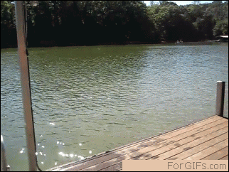 Jumping into a lake with style