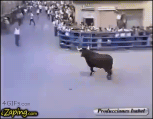 Old man vs. bull