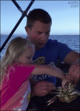 A dad freaks out when his daughter throws a crab into his lap