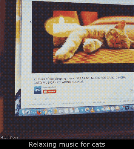 Cat-relaxing-music-video.gif