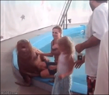 A lecherous walrus spanks a girl and gets a high five