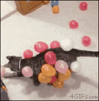 Static-balloon-cat