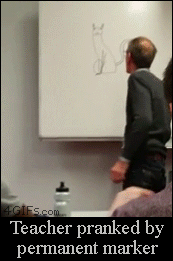 Teacher-cat-marker-prank