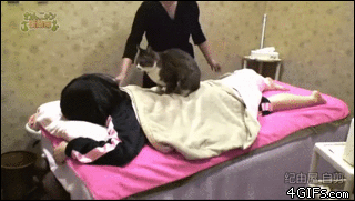 Cat-masseuse