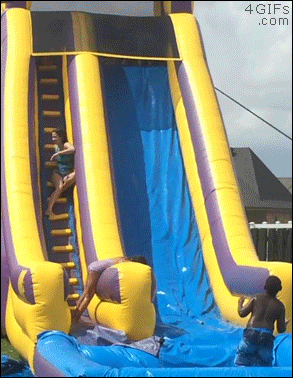 Dog-inflatable-water-slide